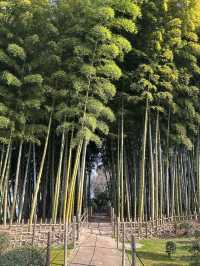 【広島】アクセス抜群！江戸を感じる縮景園