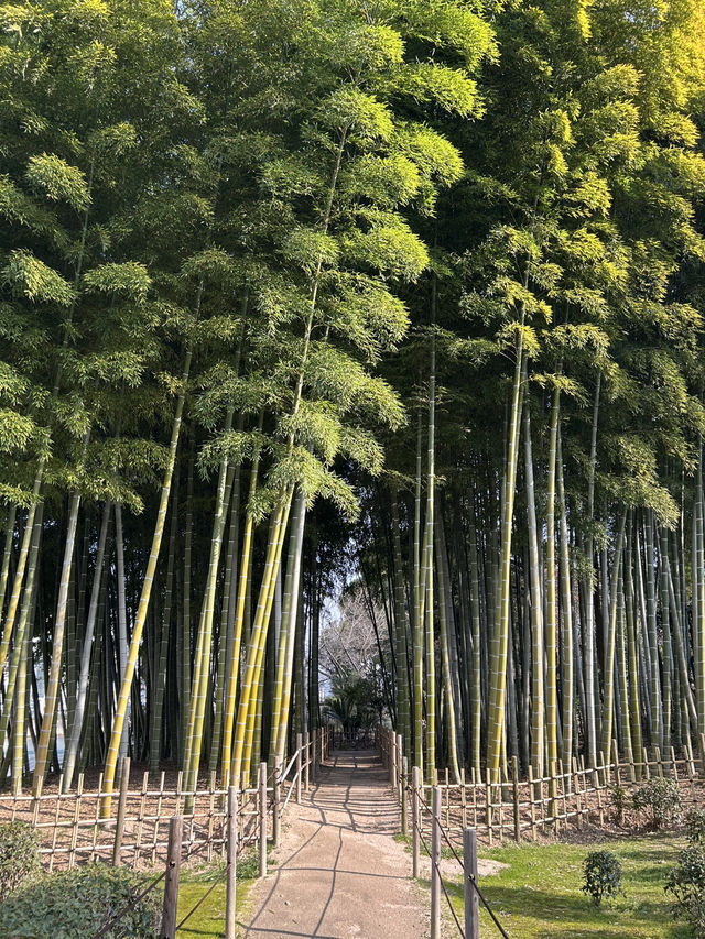 【広島】アクセス抜群！江戸を感じる縮景園