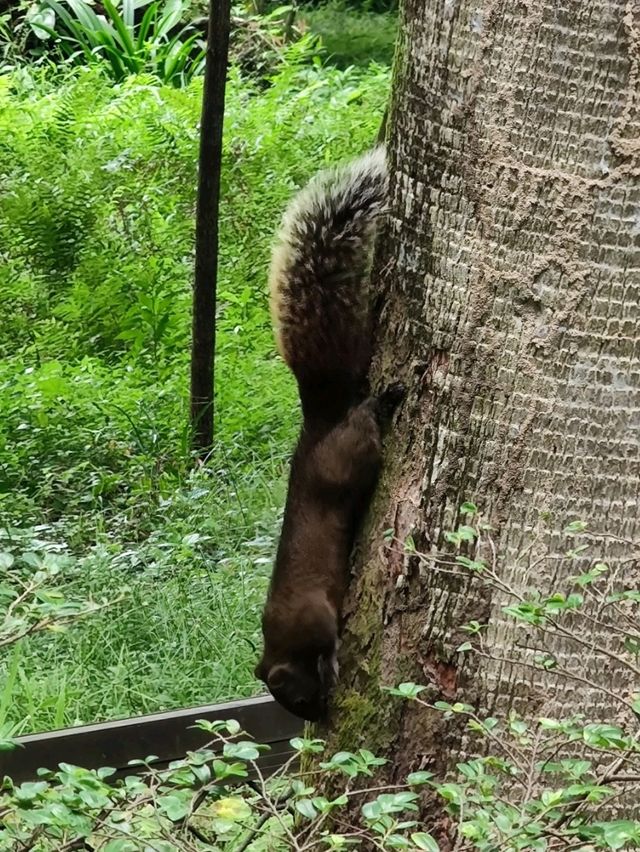 #臺北植物園-臺北市中正區