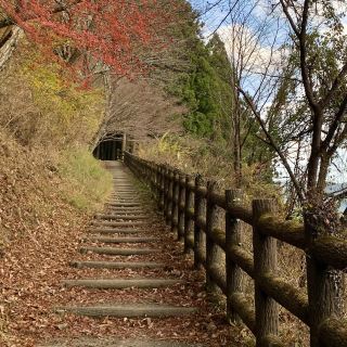 Kumano Kodo (Wakayama) – A Sacred Pilgrimage Route