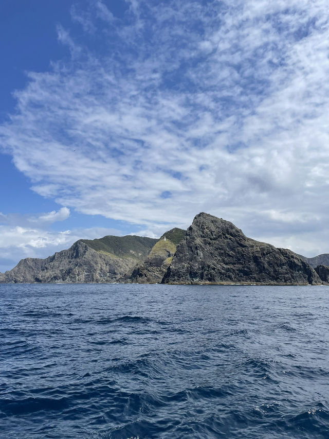 Bay of Island, New Zealand 🇳🇿 