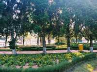 越南大叻市中心著名城市綠洲公園景點：Công Viên Trần Hưng Đạo，適合打卡拍照📸親子遊
