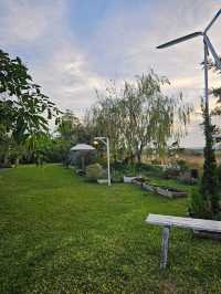 คาเฟ่  ไวแคนตัส นนทบุรี