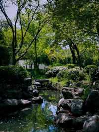 Hangzhou Xixi Wetland Park 🌳🇨🇳
