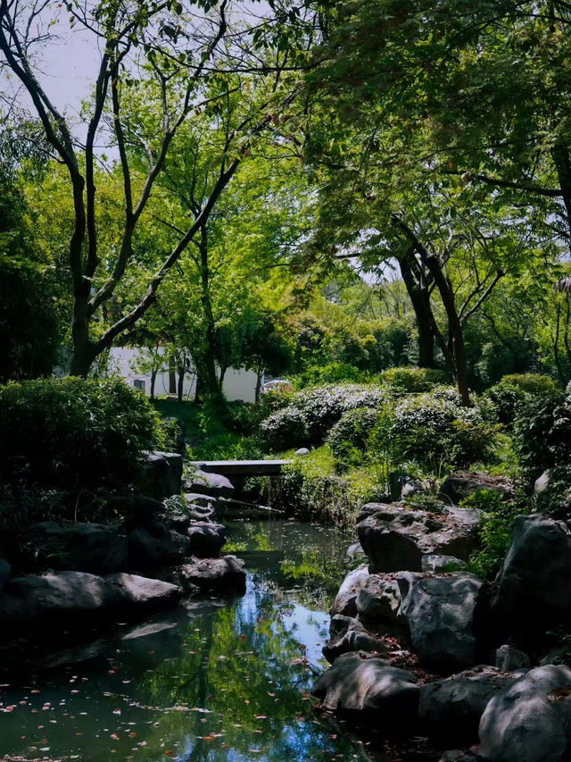 Hangzhou Xixi Wetland Park 🌳🇨🇳