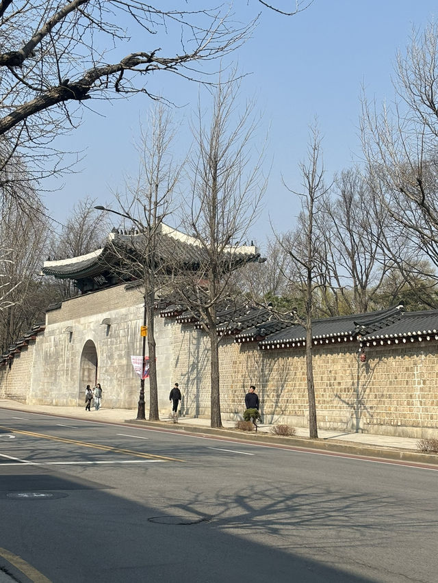 서촌 나들이 가보자!