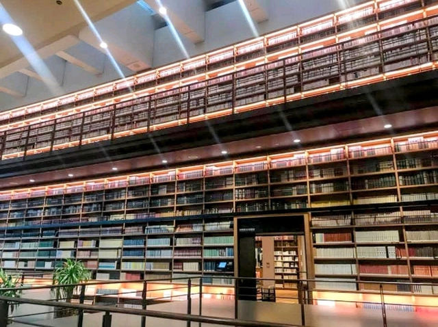 充滿設計感的地區型圖書館---多賀城市立圖書館