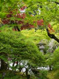 【石川×那谷寺】お化けのような怪奇石