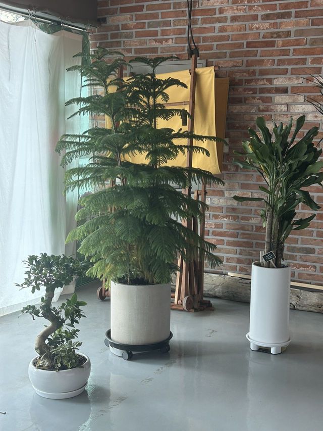 자연 풍경과 푸짐한 한상이 만나는 곳, 청주 풍경한상🥄