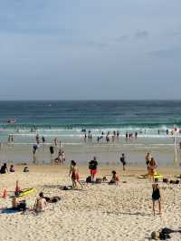 🇦🇺Bondi Beach✨據說是悉尼最美的海灘✨