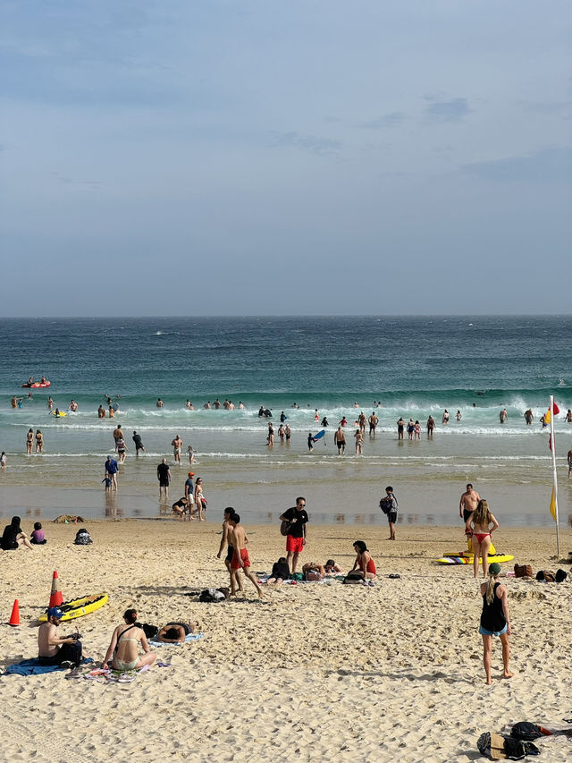 🇦🇺Bondi Beach✨據說是悉尼最美的海灘✨