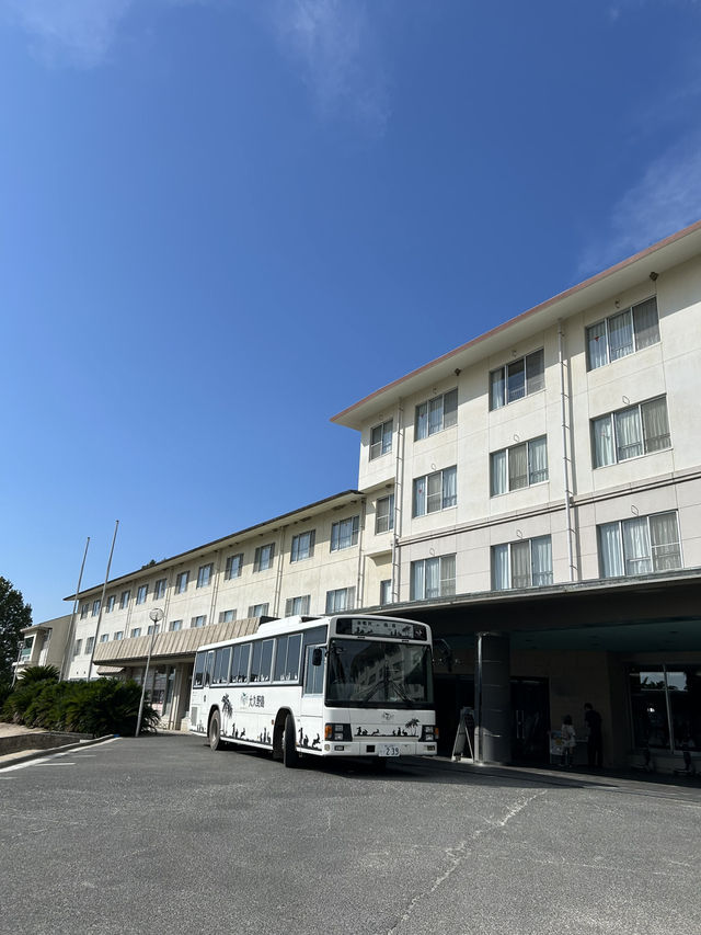 【広島】うさぎと触れ合える！実は悲しい歴史をもつ島・