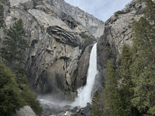 Grateful for a Spring Escape to Yosemite