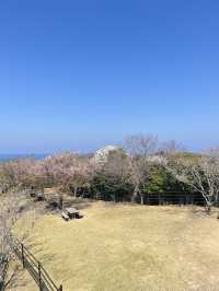 대마도 한국전망대(Kankoku Lookout) 리뷰