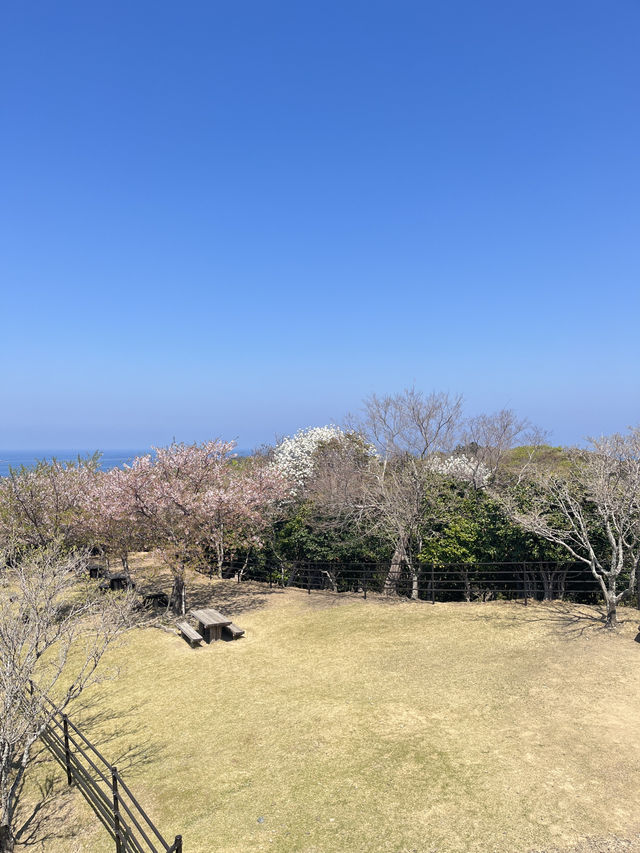 대마도 한국전망대(Kankoku Lookout) 리뷰