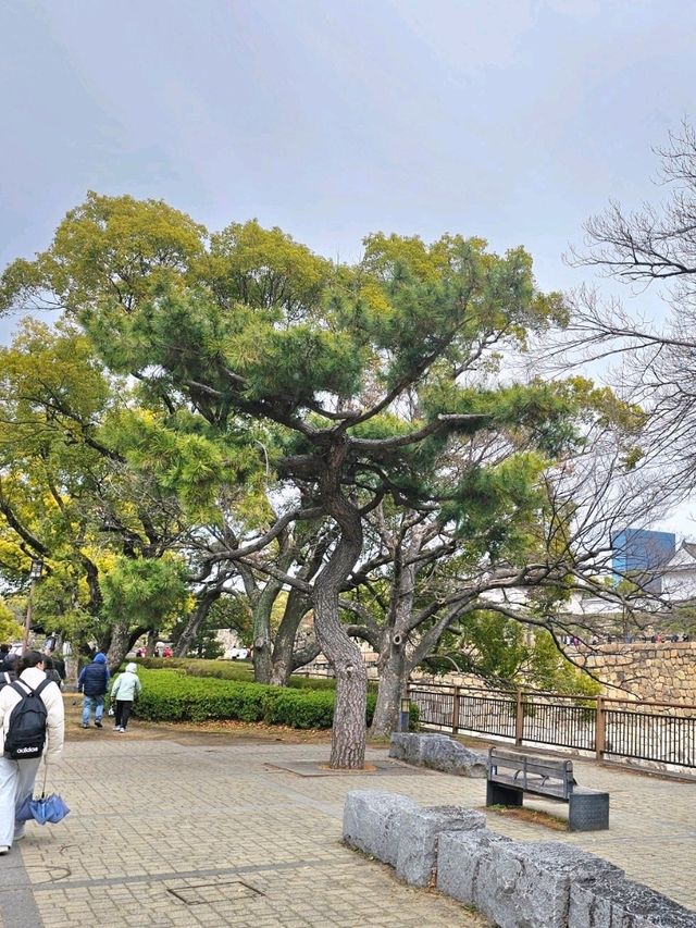 일본 오사카 여행이면 여기 꼭 가📍