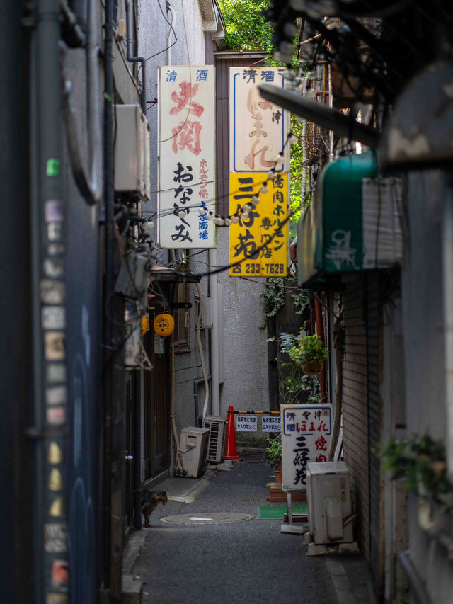 ディープな昭和遺産！川崎「亀甲マーケット」スナップ旅📸🛒