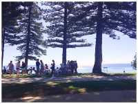 【オーストラリア/パース】パース近郊の人気ビーチ＊Cottesloe Beach＊