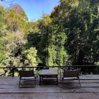 ทิ้งความวุ่นวาย มาสบายใจกับที่พักริมน้ำ Bee Forest