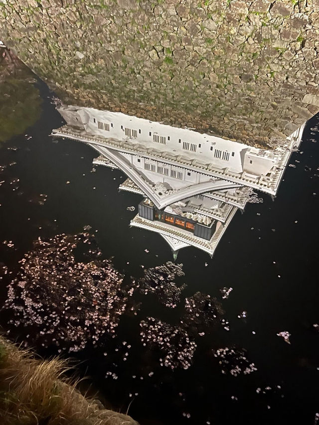 【北九州】小倉城の素敵な桜まつり🌸