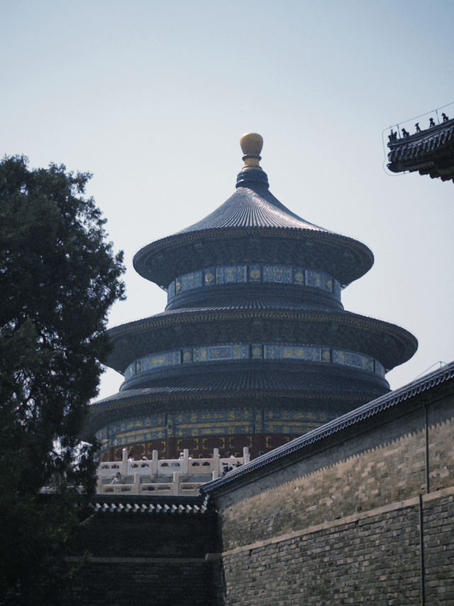  探索北京天壇：古老的宗教與文化遺產🩷🕊️☀️