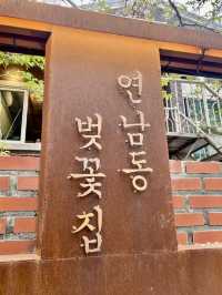 首爾｜延南洞 Beotkkot 可以來看櫻花 櫻花咖啡廳