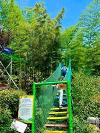 Yunjing Niushan: Thrills, Views, and Serene Clouds