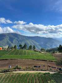 A Village Full of Peace