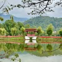 🌿🚂 A Day Escape from Penang: Chasing Rain & History in Taiping by Train