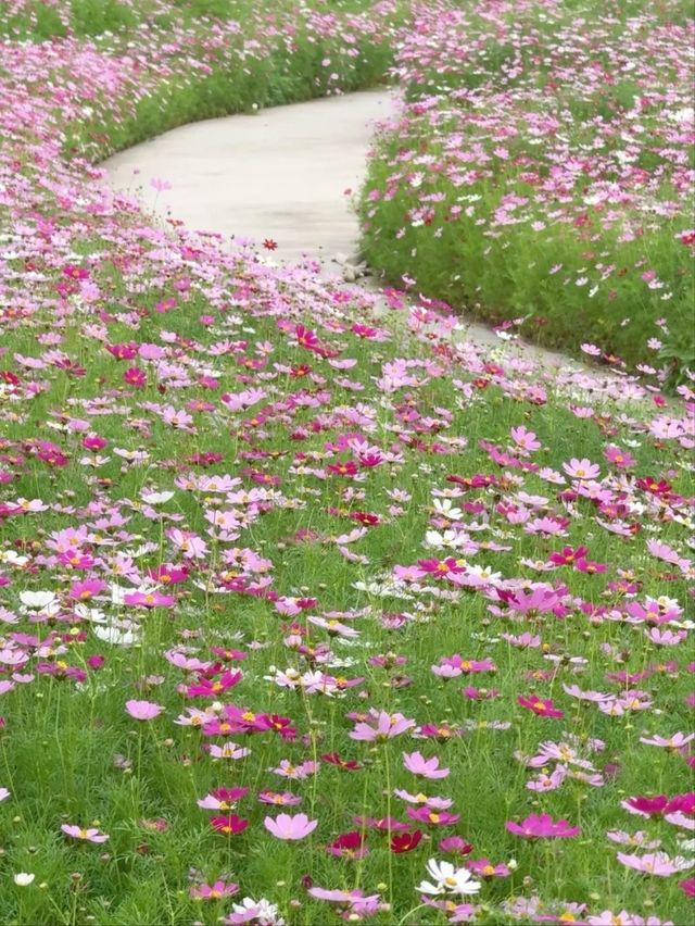 Haizhu Lake Park– Guangzhou’s Urban Wetland Oasis