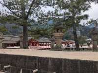 【広島】嚴島神社で海に浮かぶ鳥居を見る！