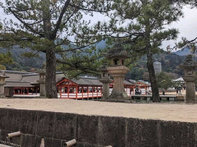 【広島】嚴島神社で海に浮かぶ鳥居を見る！