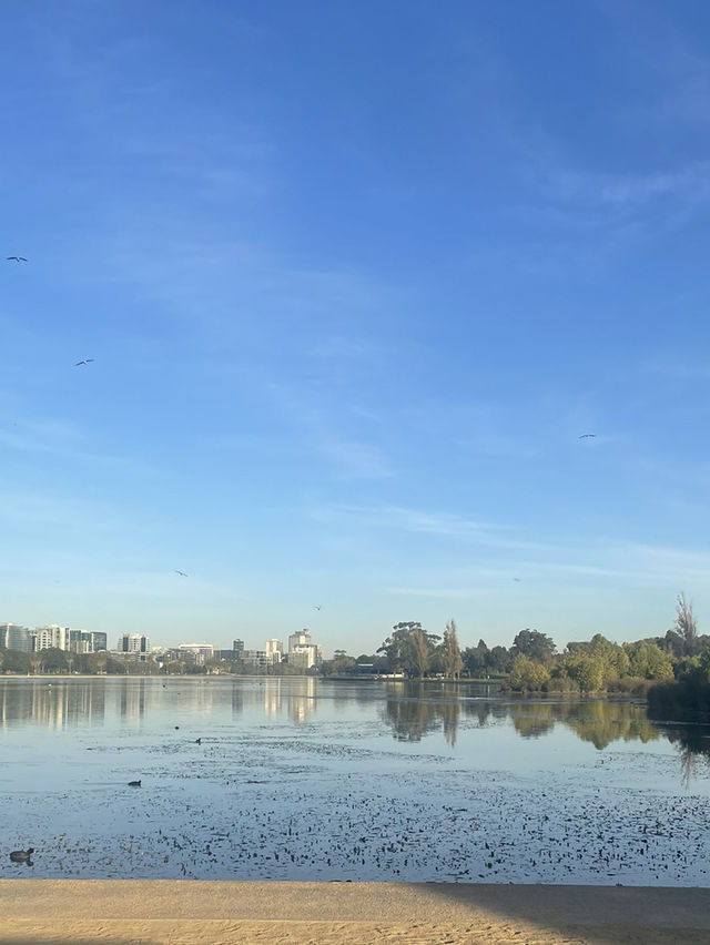 🇦🇺墨爾本適合野餐的小公園