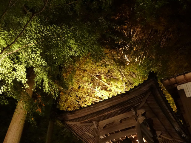 白水阿弥陀堂と紅葉（福島県いわき市）