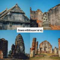 1 Day Trip เที่ยวลพบุรี เดินทางโดยรถไฟ 