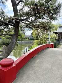 Spring Walk at Himonya Itsukushima-jinja Shrine