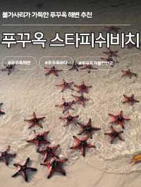 불가사리랑 인생샷 필수 🏖️ 스타피쉬비치
