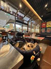 ร้านอาหารpet friendly ในห้าง Central Westville