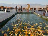 อนันตรา กาญจนบุรี (Ananta River Hills Resort) 