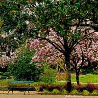 Vilandry Gardens, Indré-Loire