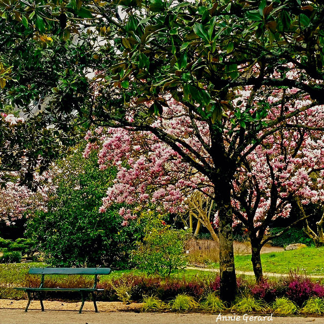 Vilandry Gardens, Indré-Loire