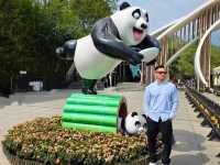 Chengdu Day Trip – Panda Valley, Qingcheng Mountain & Dujiangyan with Ancient Town Vibes!