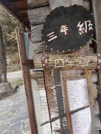 司馬庫斯神木群步道擁抱巨木去