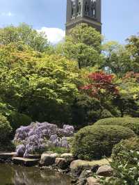 【東京　文京区関口　関口カトリック教会　東京カテドラル聖マリア大聖堂への巡礼】