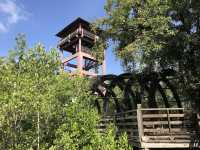 Taman Negara Johor Pulau Kukup – A Solo Traveller’s Adventurous Escape