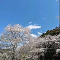 Hitachi Fudoki-no-Oka, Ibaraki