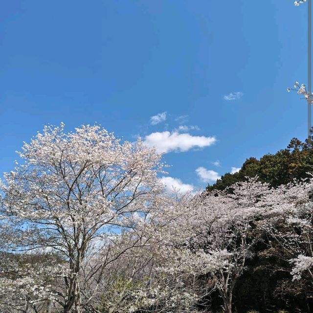 Hitachi Fudoki-no-Oka, Ibaraki