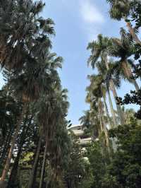 台北｜臺北植物園｜綠意盎然的城市綠洲
