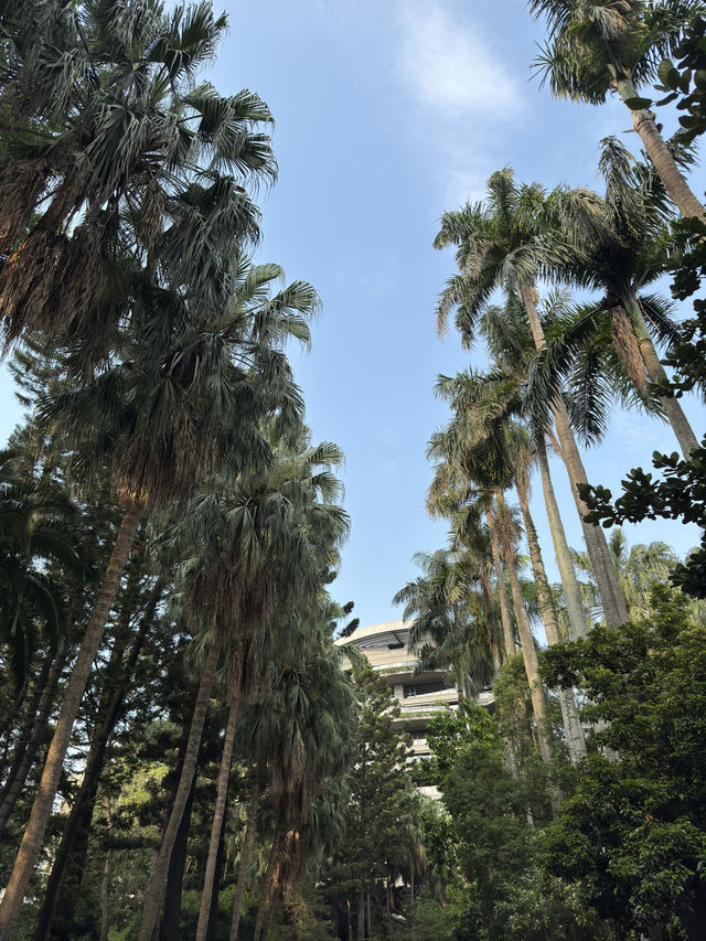 台北｜臺北植物園｜綠意盎然的城市綠洲