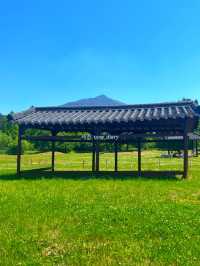봄은 피크닉의 계절! 부산 및 근교 피크닉 공원 여행코스 🌱